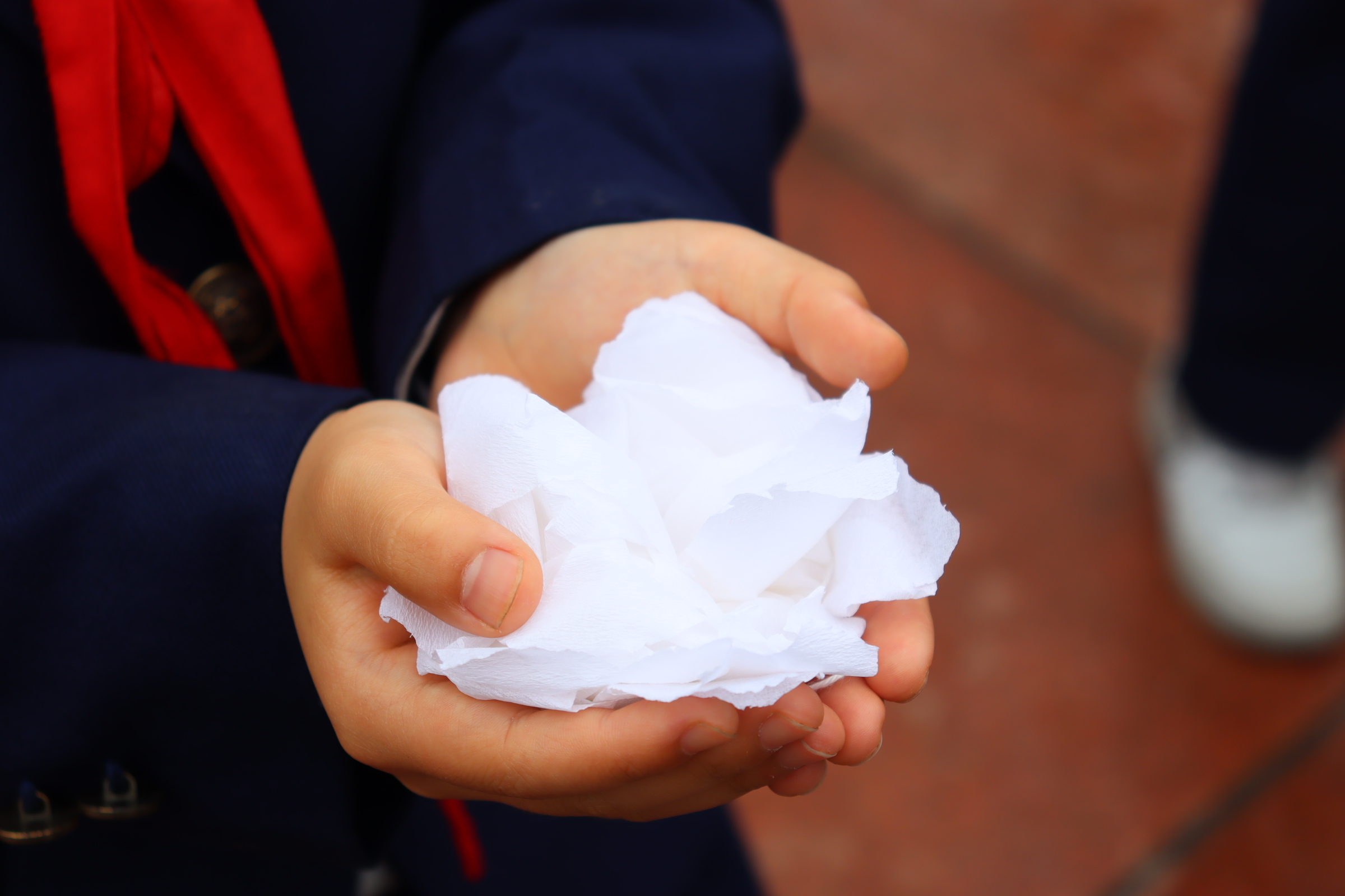 小学部缅怀先烈活动(图5)