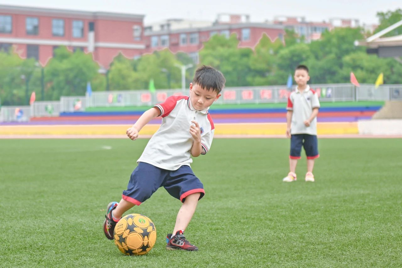 1-241004160P4937.jpg