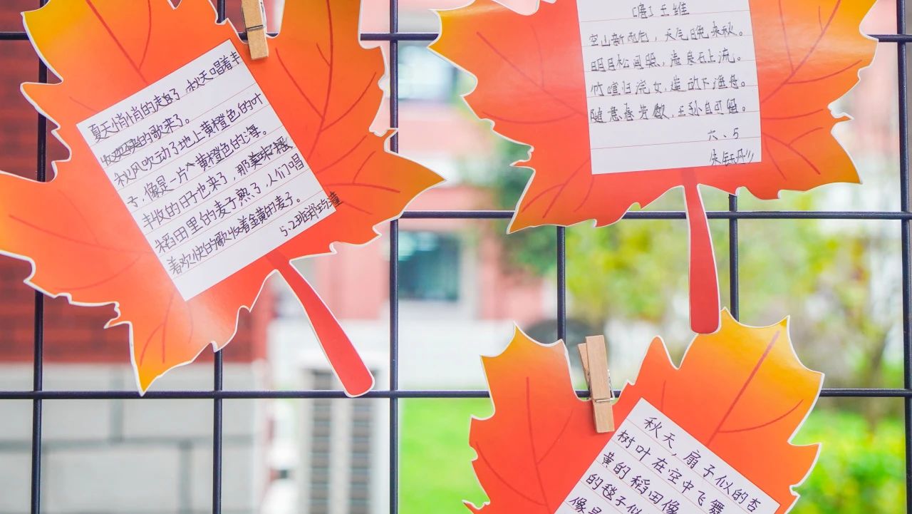 我和秋天比个“叶”！(图21)