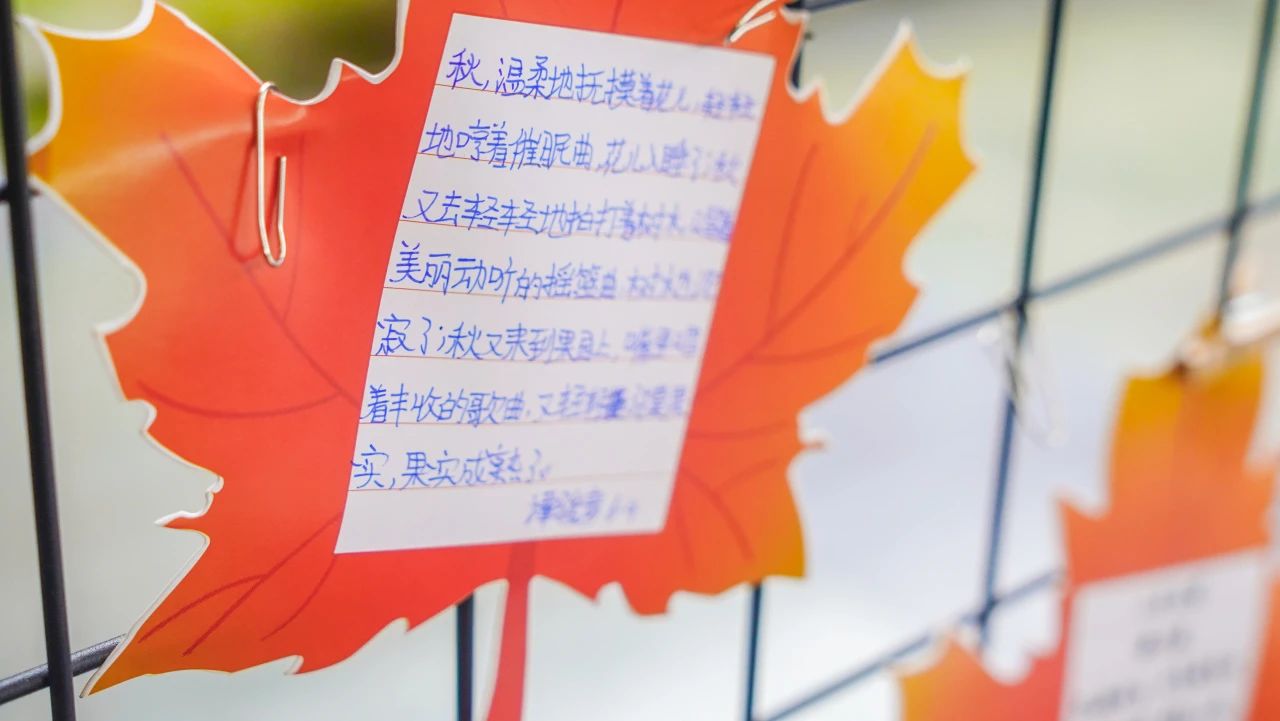 我和秋天比个“叶”！(图22)
