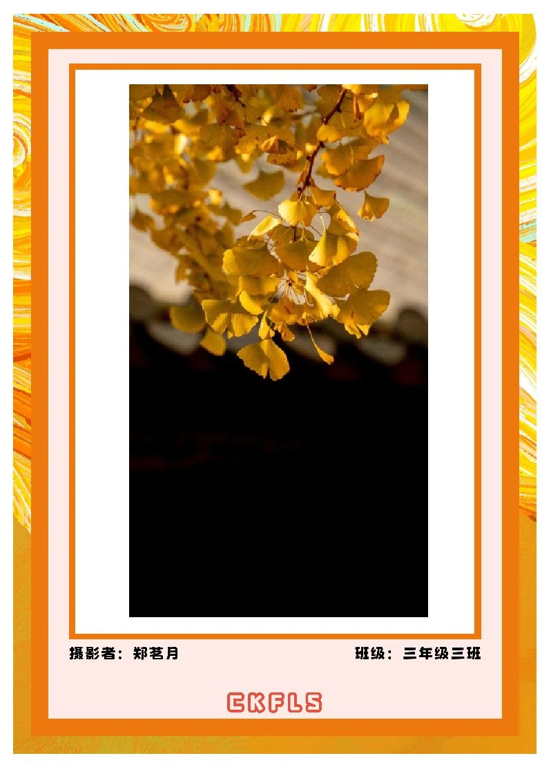 我和秋天比个“叶”！(图30)