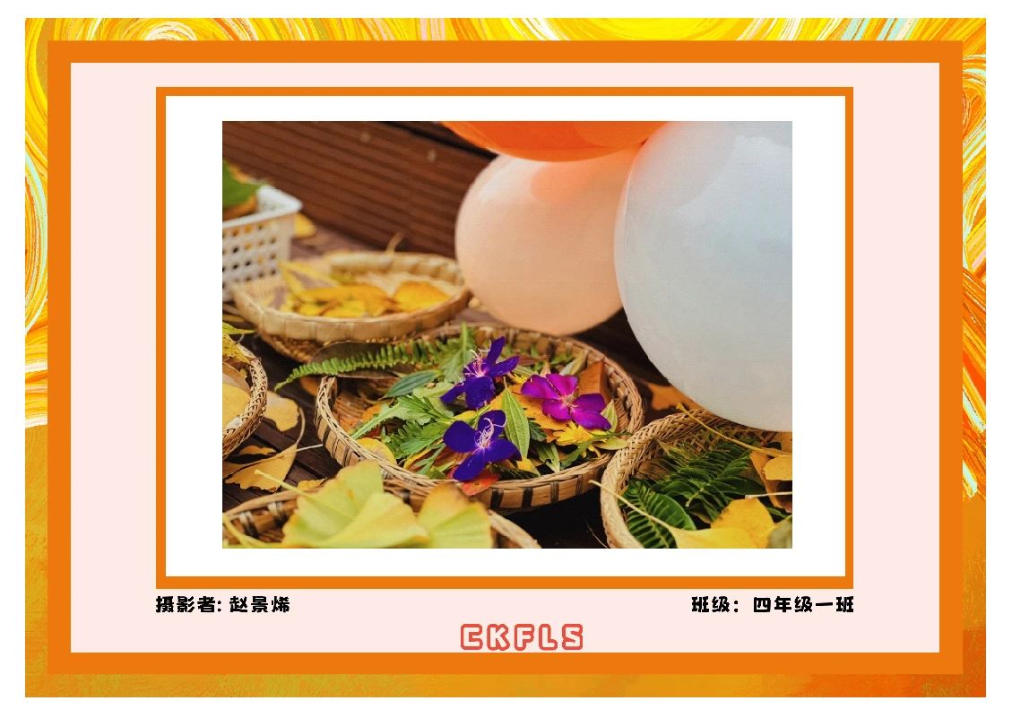 我和秋天比个“叶”！(图33)