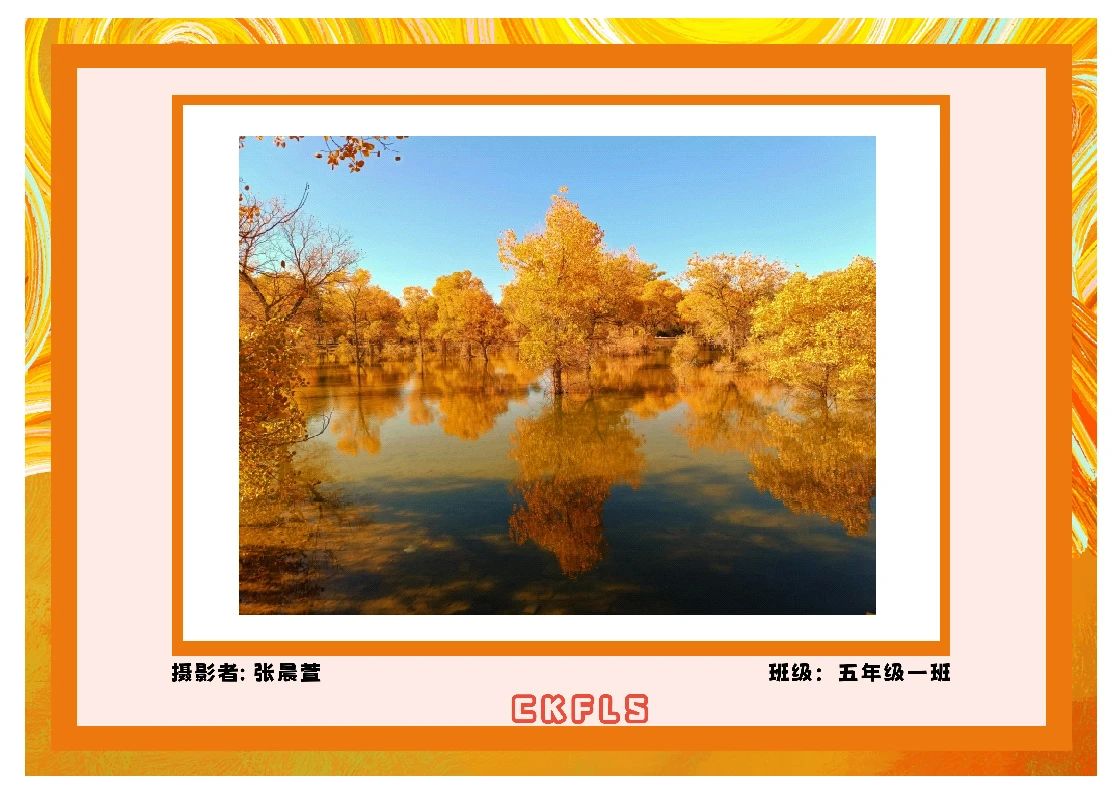 我和秋天比个“叶”！(图34)