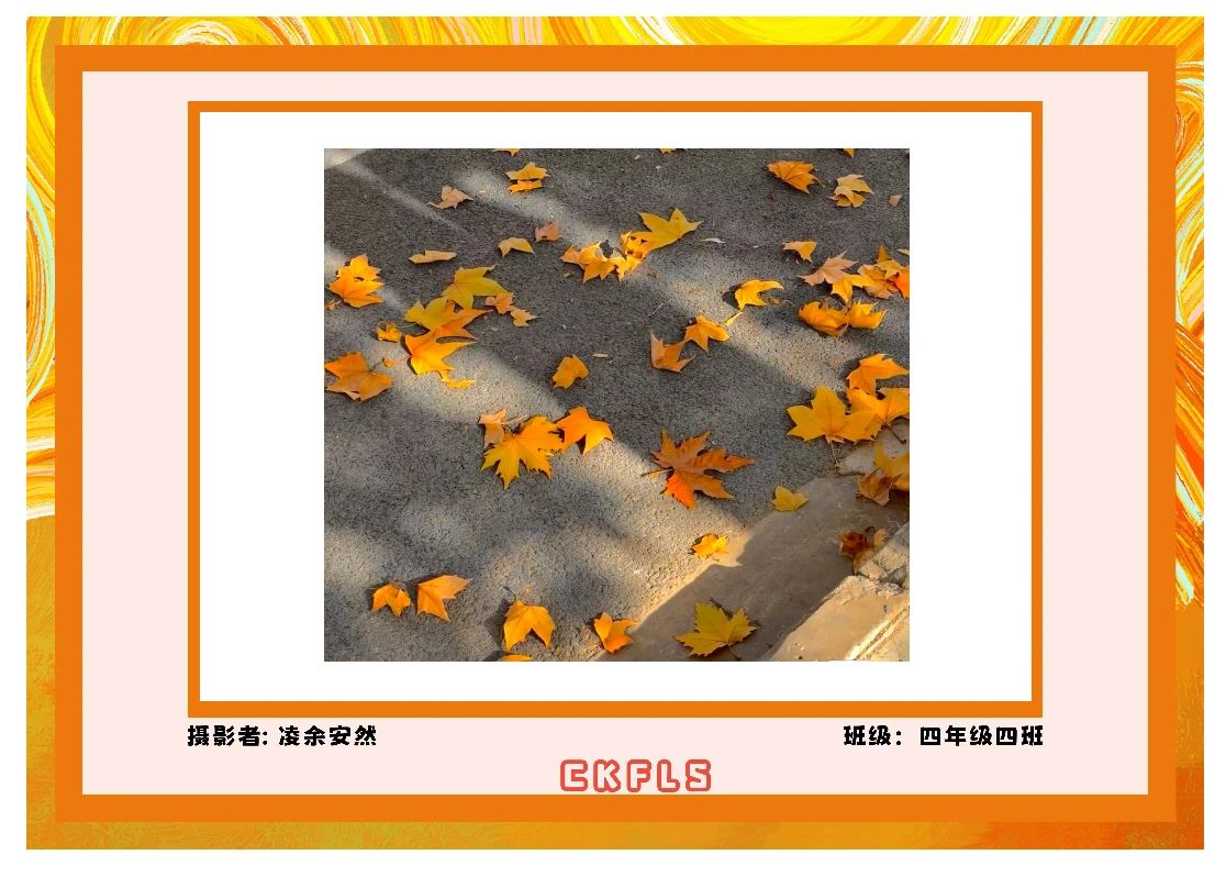 我和秋天比个“叶”！(图28)