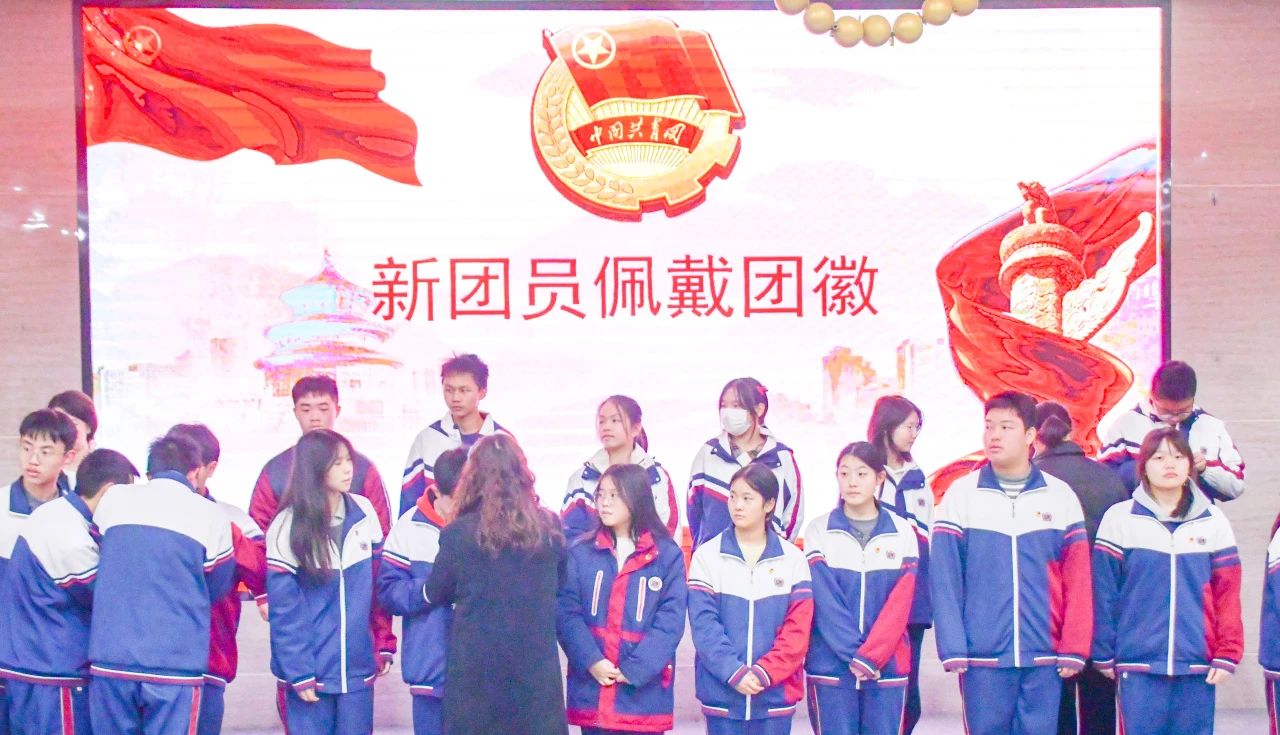 青春奋进新时代，挺膺担当向未来——入团仪式见证青年力量(图3)