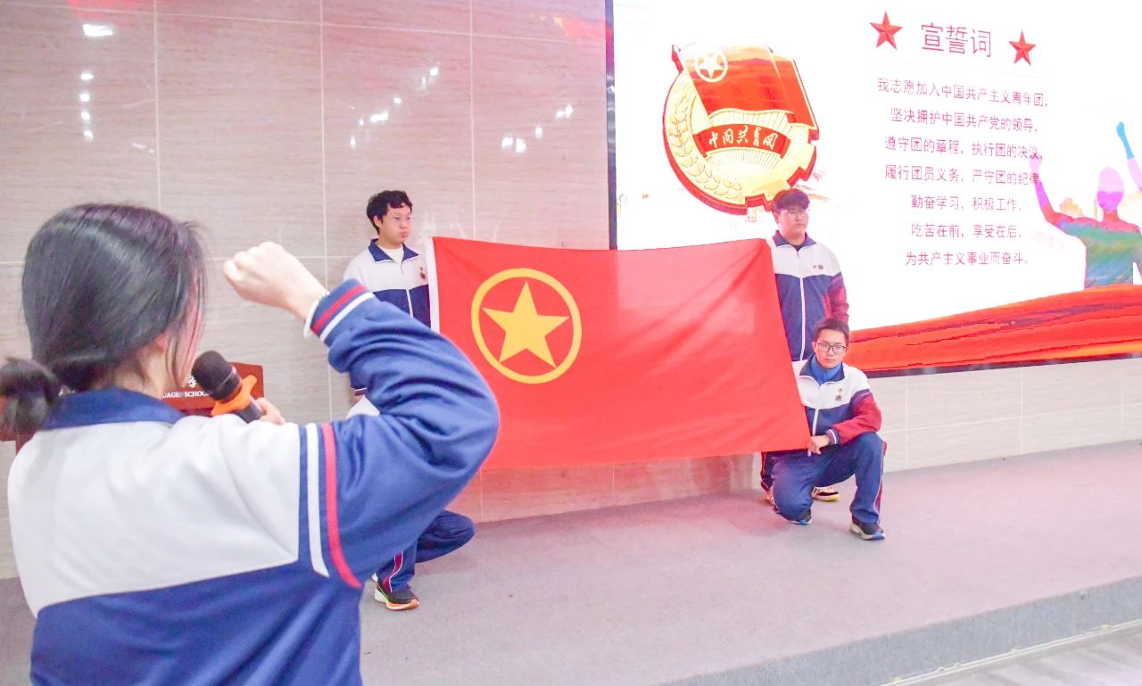 青春奋进新时代，挺膺担当向未来——入团仪式见证青年力量(图5)