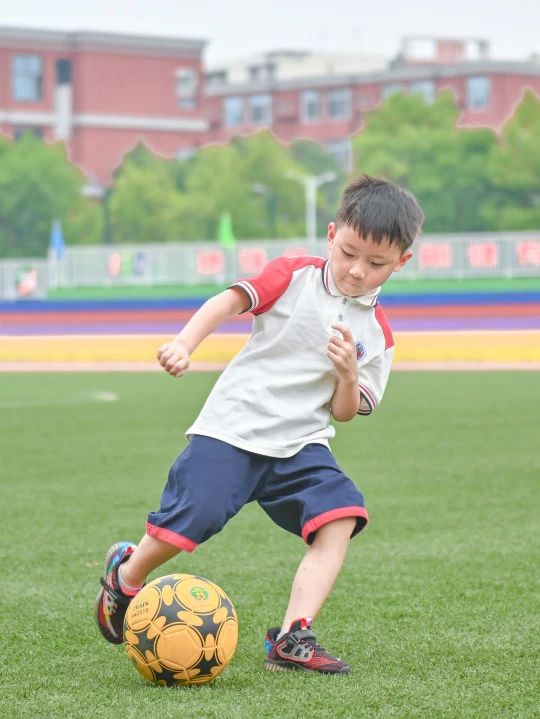 成都市郫都区川科外国语学校2025年招聘公告(图6)