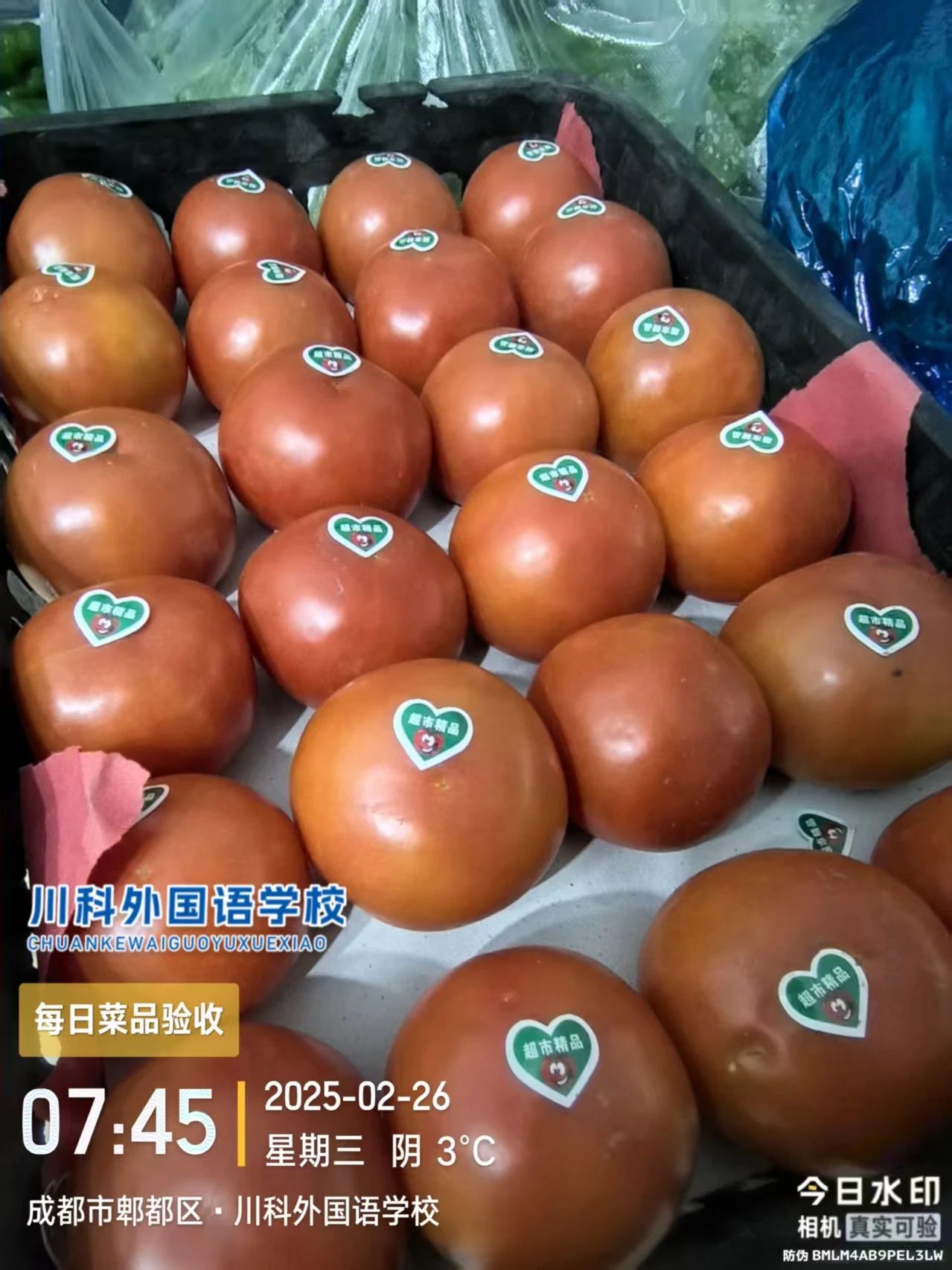 从源头到餐桌的全链条守护！(图8)