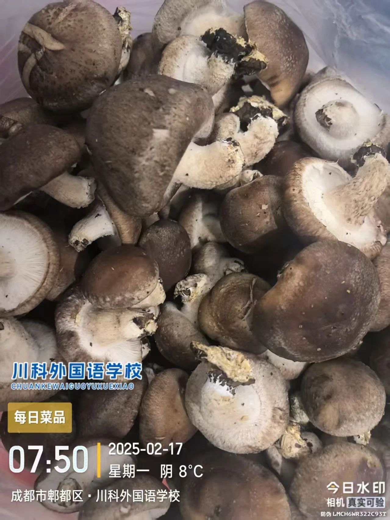 从源头到餐桌的全链条守护！(图9)