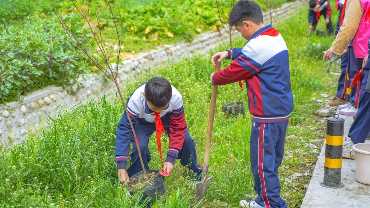 成川外的这堂课，搬进了油菜花地！(图14)