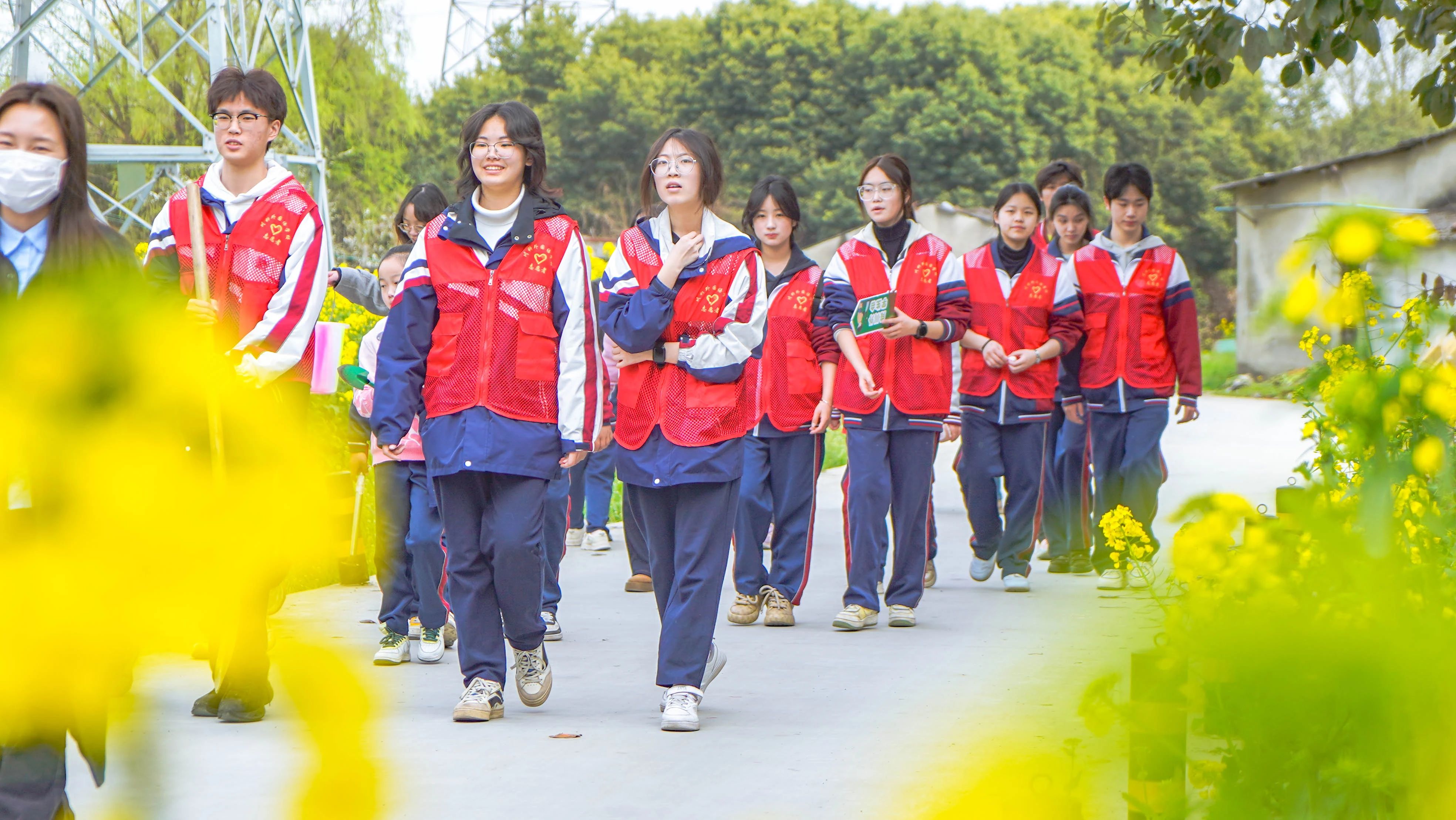 成川外的这堂课，搬进了油菜花地！(图11)