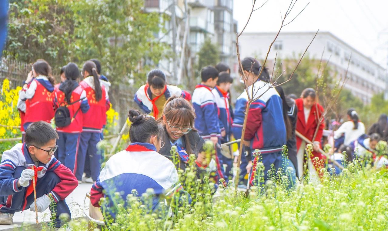成川外的这堂课，搬进了油菜花地！(图12)