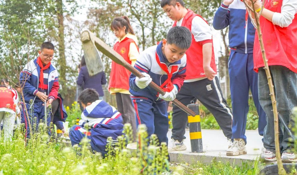 成川外的这堂课，搬进了油菜花地！(图16)