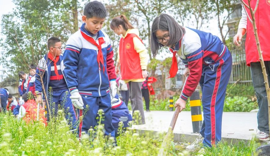 成川外的这堂课，搬进了油菜花地！(图17)