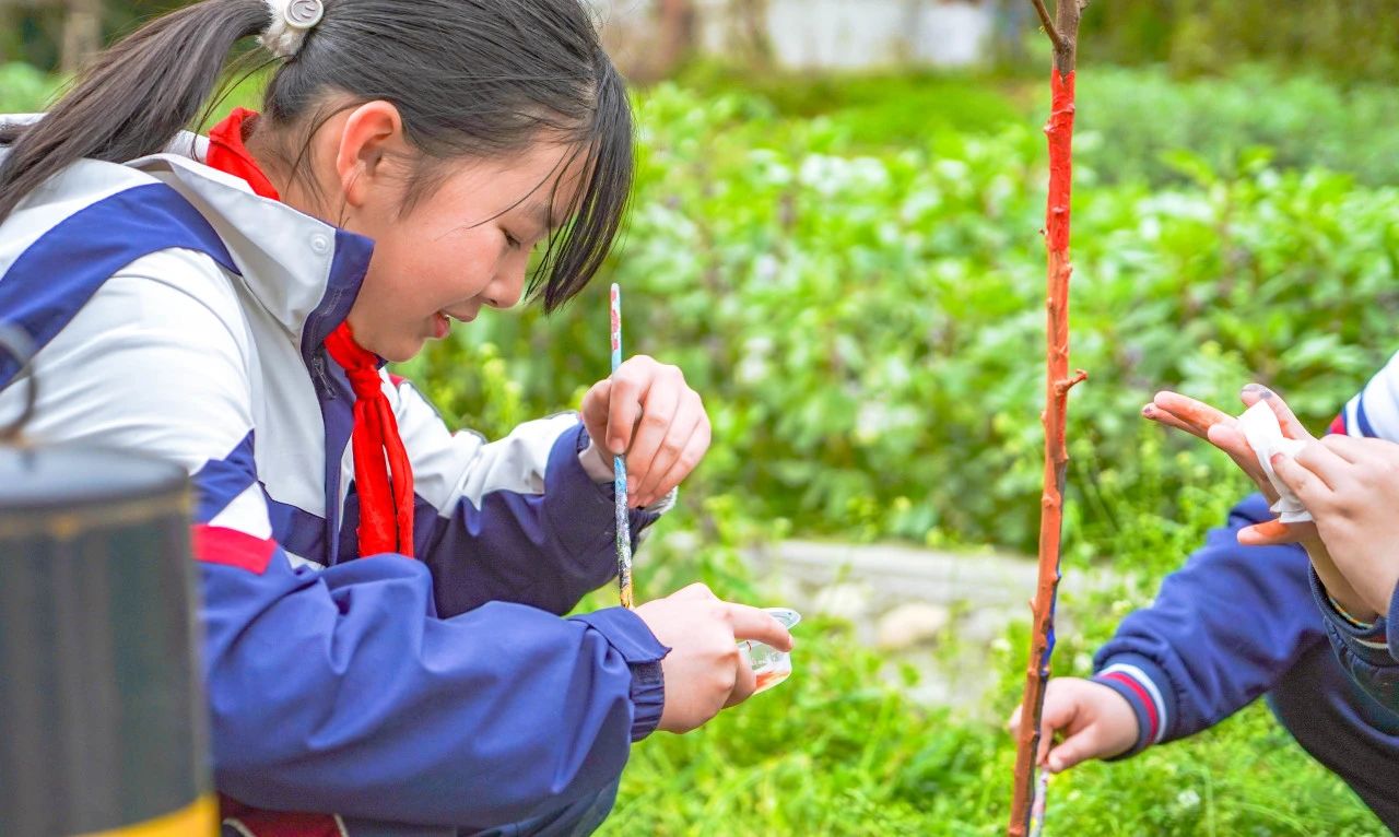 成川外的这堂课，搬进了油菜花地！(图15)