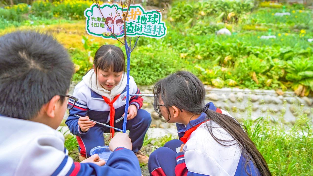 成川外的这堂课，搬进了油菜花地！(图18)