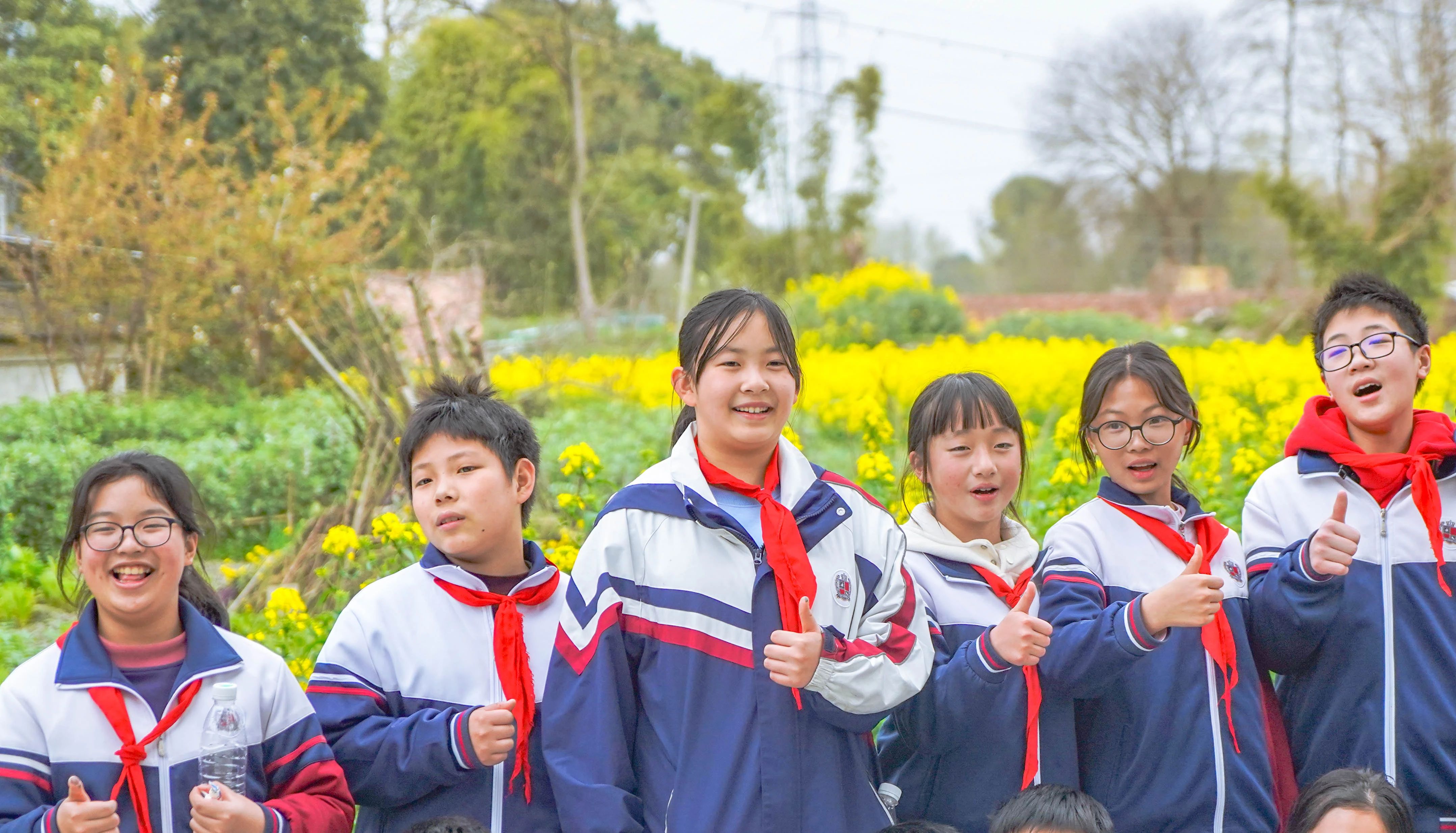 成川外的这堂课，搬进了油菜花地！(图29)