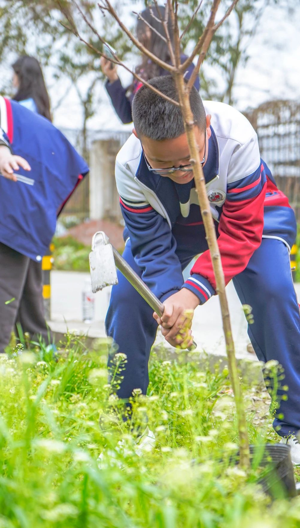 成川外的这堂课，搬进了油菜花地！(图20)