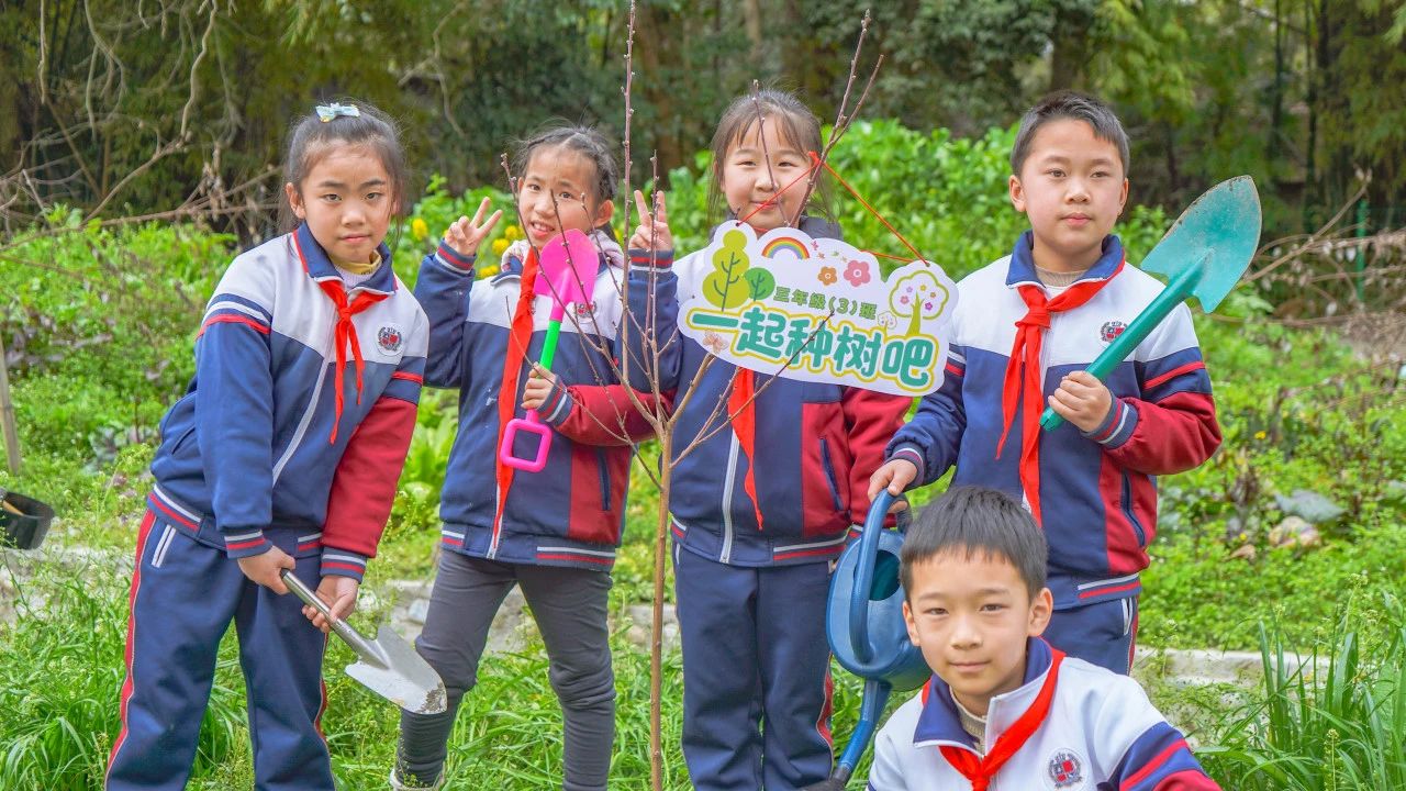 成川外的这堂课，搬进了油菜花地！(图22)