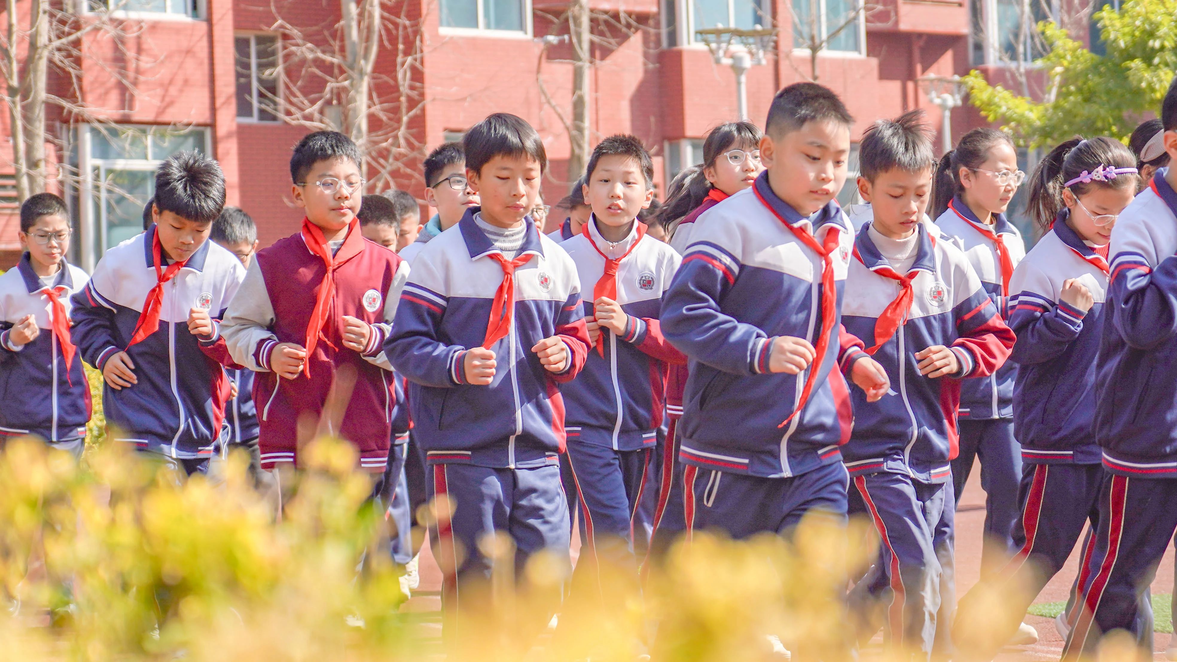 新！新！新！我们就是要给您很多新的！！(图22)
