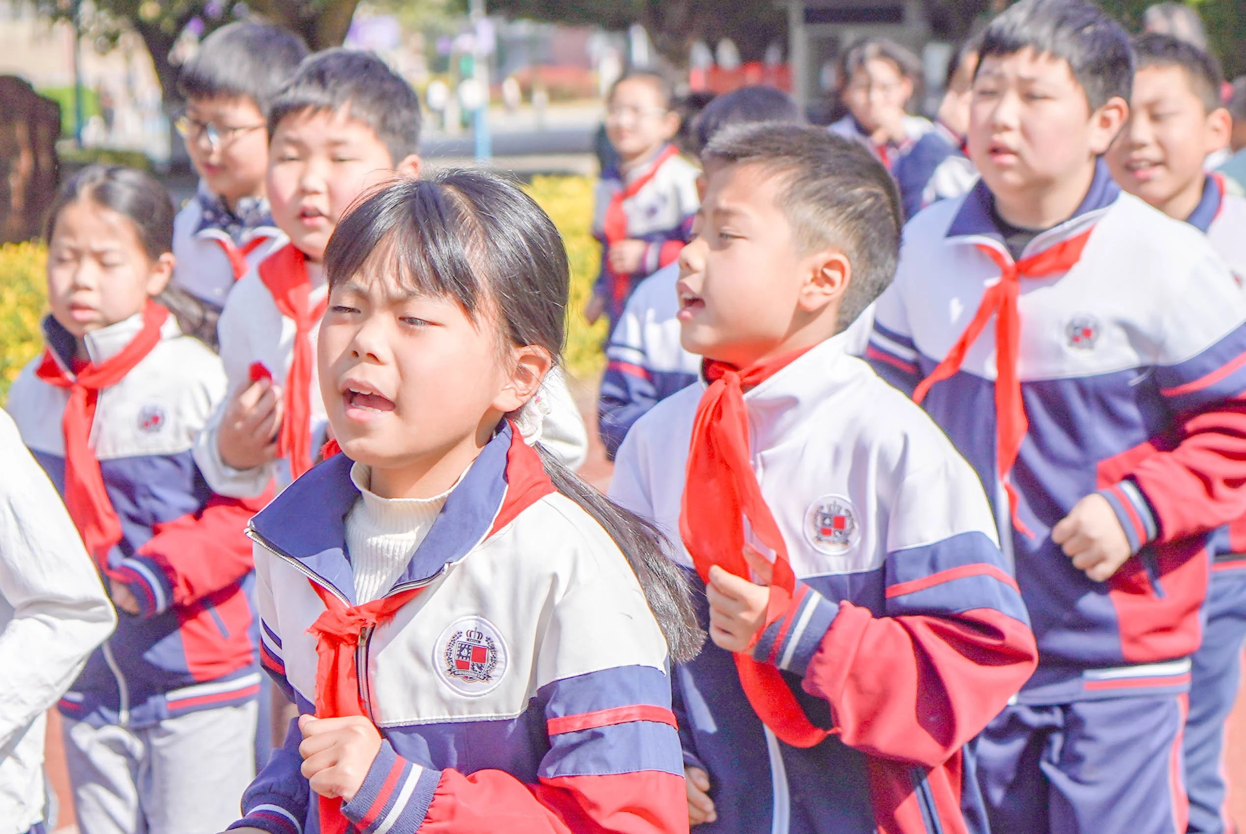 新！新！新！我们就是要给您很多新的！！(图25)