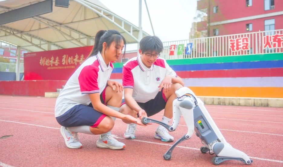 智能“汪汪队”集合！“团宠”竟是它！(图14)