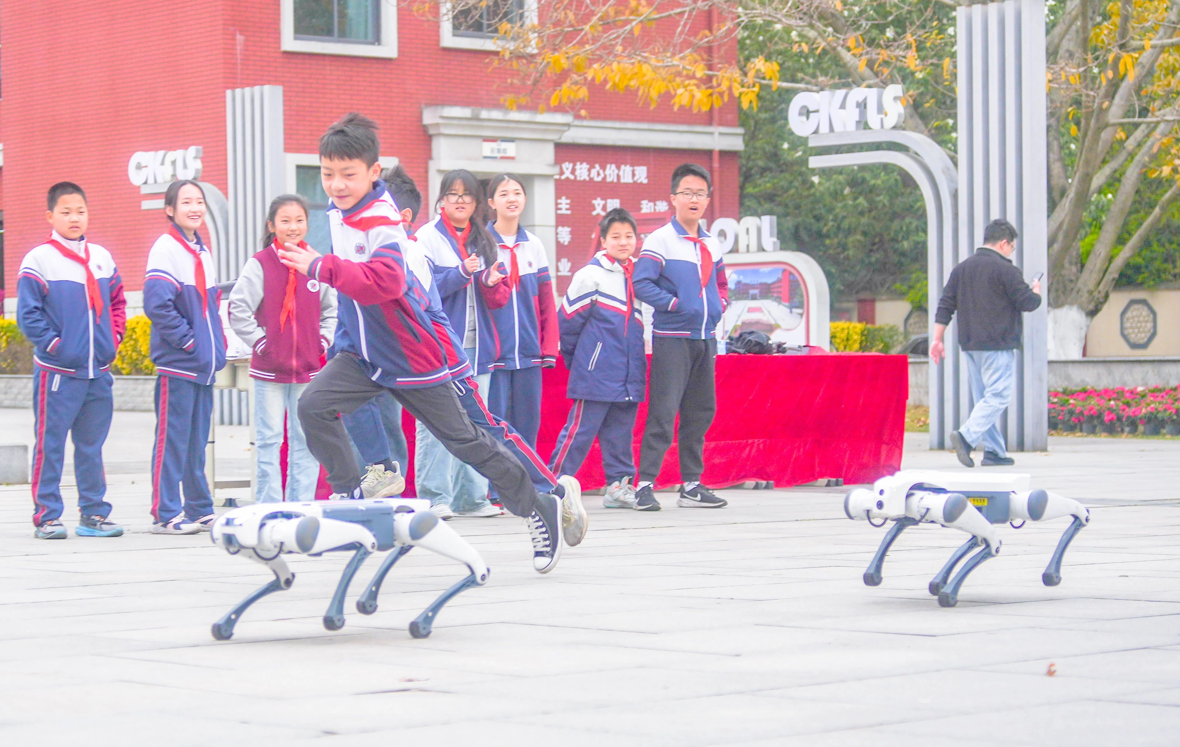 智能“汪汪队”集合！“团宠”竟是它！(图16)